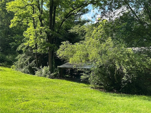 4627 Water Level Rd, Milford Twp, PA 15557 - view of grassy yard featuring a wooded view