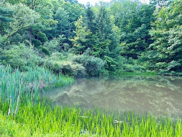 4627 Water Level Rd, Milford Twp, PA 15557 - view of tree filled area