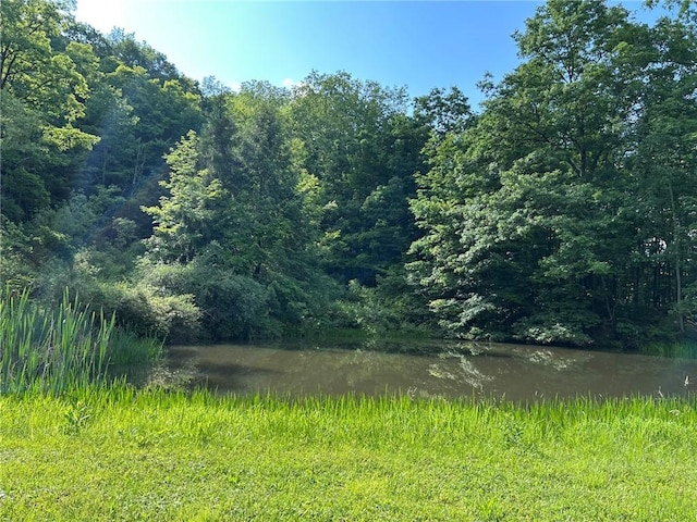 4627 Water Level Rd, Milford Twp, PA 15557 - view of woods featuring a water view