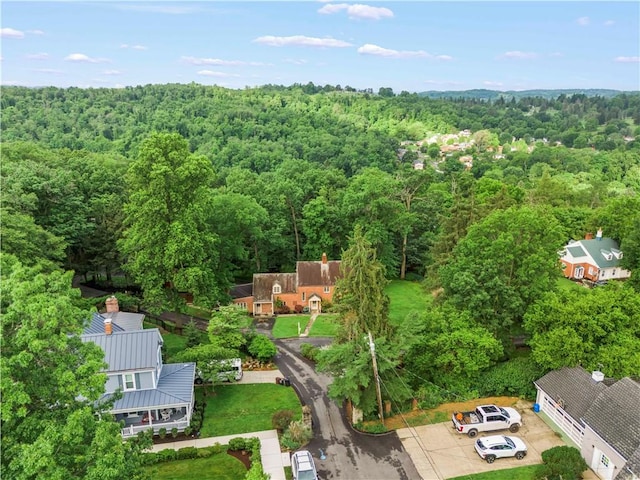35 Redstone Ln, City Of Washington, PA 15301 - aerial view of a heavily wooded area