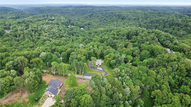 4839 State Route 151, Green Twp, PA 15001 - photo 42