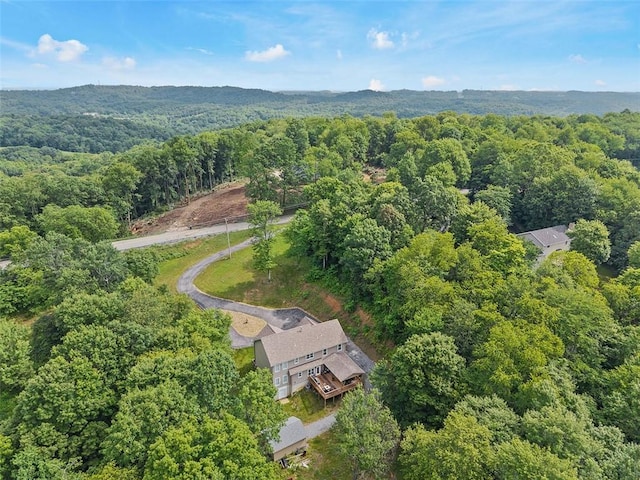 4839 State Route 151, Green Twp, PA 15001 - photo 47