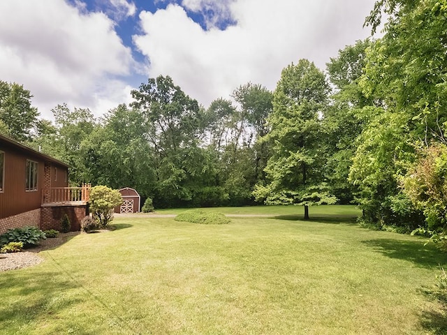 4779 State Route 819, Bell Twp, PA 15613 - view of green lawn with a storage unit