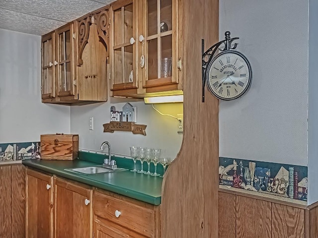 4779 State Route 819, Bell Twp, PA 15613 - bar featuring a sink and a textured ceiling