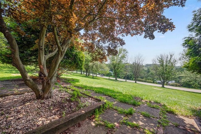 287 Rankin Rd, Belle Vernon, PA 15012 - view of green lawn