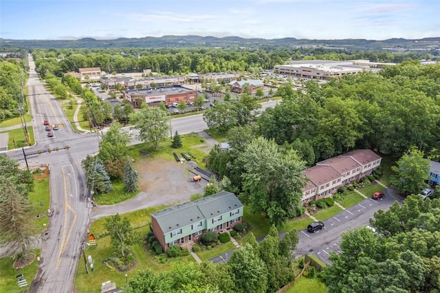305 Laporte Ct, Cranberry Twp, PA 16066 - view of property location featuring a mountainous background