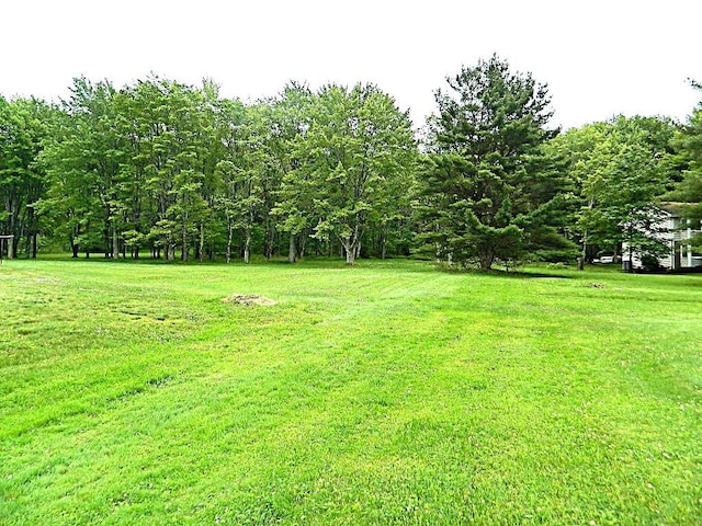 115 Lowery Dr, Middlesex Twp, PA 16059 - view of green lawn