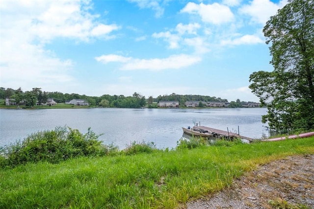 1011 Lakeside Dr, Mount Pleasant Twp Was, PA 15057 - water view with a boat dock