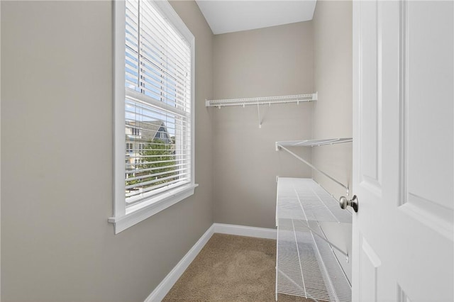 201 Venango Trl, Marshall, PA 16046 - spacious closet with carpet floors