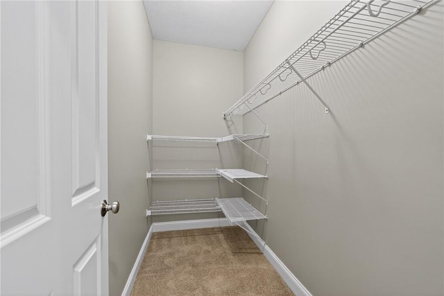 201 Venango Trl, Marshall, PA 16046 - walk in closet featuring carpet