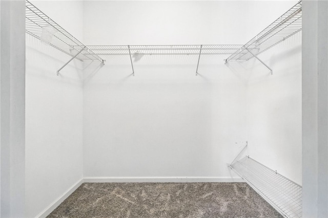 31 Elena Ave, Lower Burrell, PA 15068 - walk in closet featuring carpet flooring
