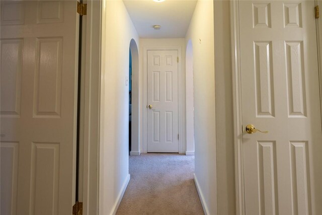 4793 Brownsville, Whitehall, PA 15236 - photo 10