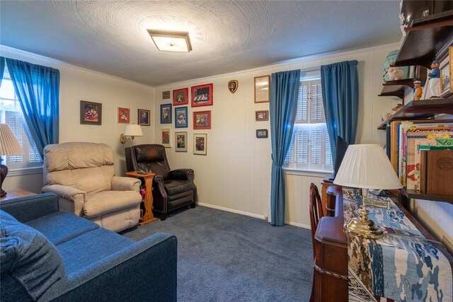 4793 Brownsville, Whitehall, PA 15236 - photo 15