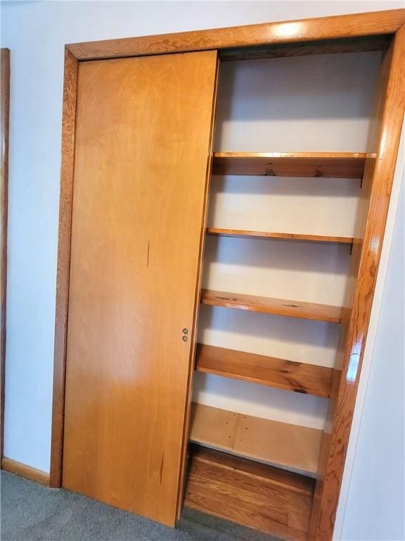 1176 Colgate Dr, Monroeville, PA 15146 - view of closet
