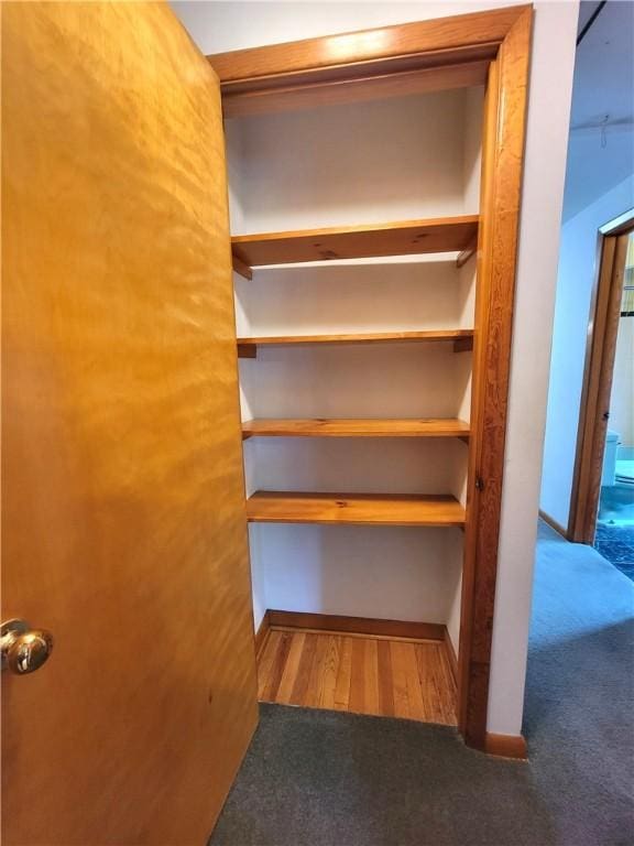 1176 Colgate Dr, Monroeville, PA 15146 - view of closet