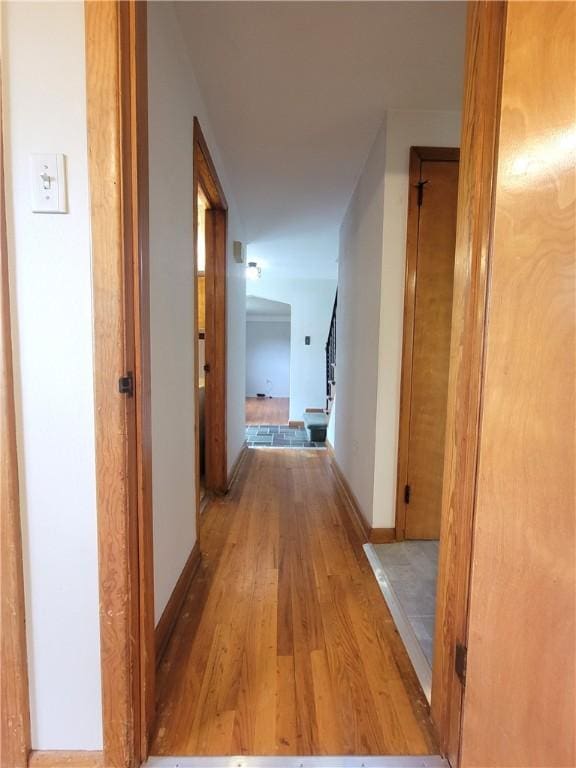 1176 Colgate Dr, Monroeville, PA 15146 - hall with light wood-type flooring and baseboards