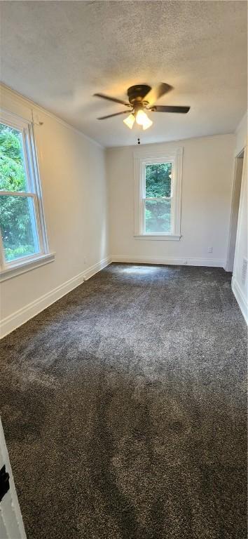 665 Shade Ave, Bellevue, PA 15202 - photo 22