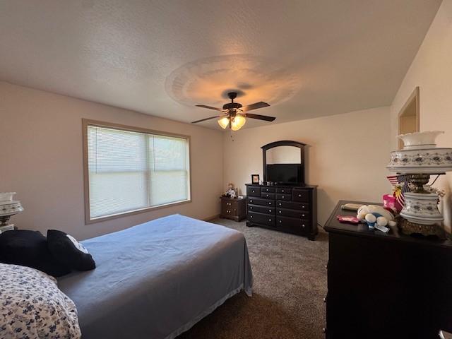 436 Lloyd Ave, Latrobe, PA 15650 - bedroom featuring carpet floors and a ceiling fan