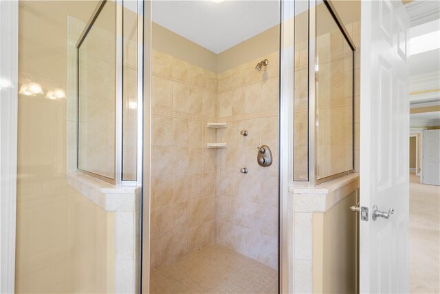 8010 Sherwood Dr, Collier Twp, PA 15142 - bathroom featuring a stall shower