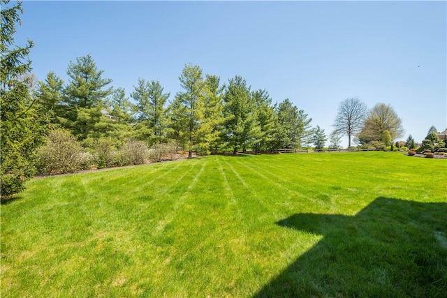 8010 Sherwood Dr, Collier Twp, PA 15142 - view of green lawn