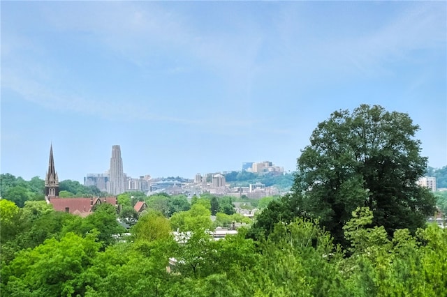140 N Woodland Rd, Shadyside, PA 15232 - view of city