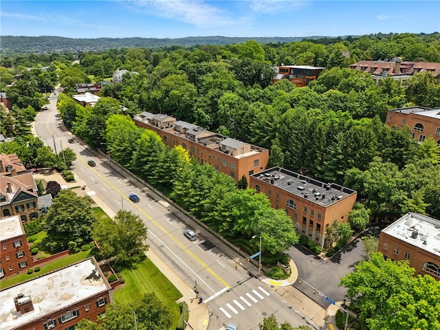 140 N Woodland Rd, Shadyside, PA 15232 - aerial view of a forest