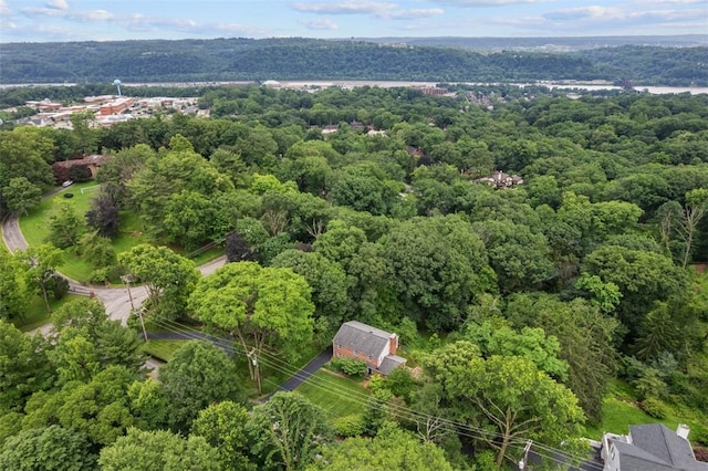 195 Grandview Dr N, Fox Chapel, PA 15215 - drone / aerial view of a forest