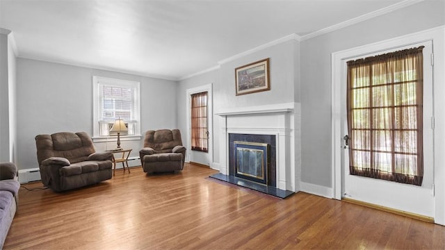148 Stanton Ct E, Stanton Heights, PA 15201 - living room featuring a baseboard heating unit, wood finished floors, a baseboard radiator, ornamental molding, and a premium fireplace