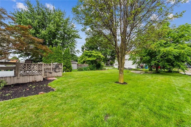 528 Spring St, Latrobe, PA 15650 - view of yard