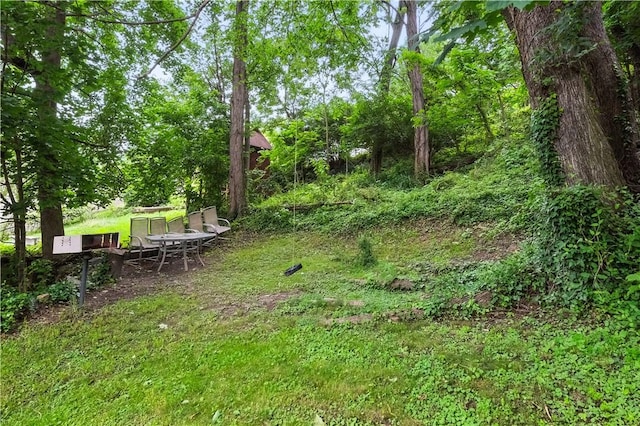 39 Danvers Ave, Ingram, PA 15205 - view of yard