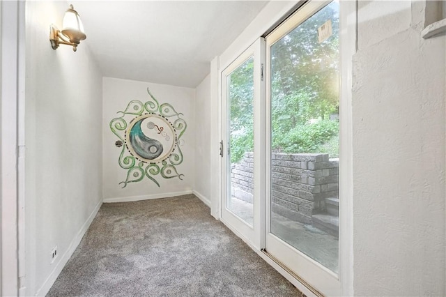 39 Danvers Ave, Ingram, PA 15205 - doorway to outside featuring carpet floors and baseboards