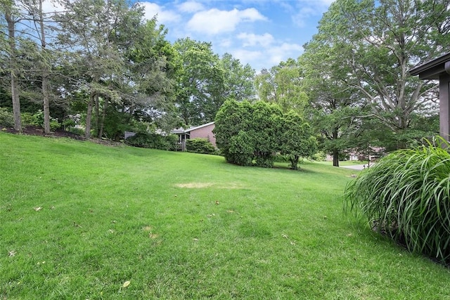 2616 Cedarvue Dr, Upper St Clair, PA 15241 - view of green lawn