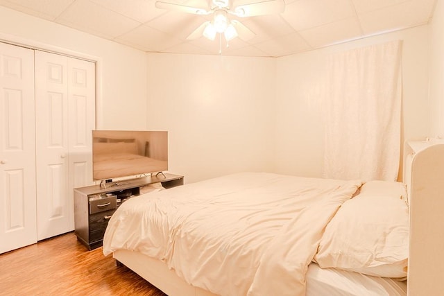 5801 Lincoln Ave, Export, PA 15632 - bedroom featuring light wood finished floors, a drop ceiling, ceiling fan, and a closet