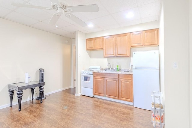 5801 Lincoln Ave, Export, PA 15632 - kitchen featuring white appliances, a drop ceiling, light wood-style flooring, light countertops, and a ceiling fan