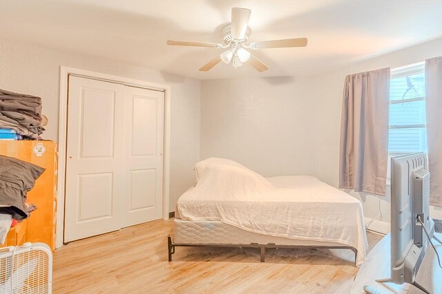 5801 Lincoln Ave, Export, PA 15632 - bedroom with light wood finished floors, ceiling fan, and a closet