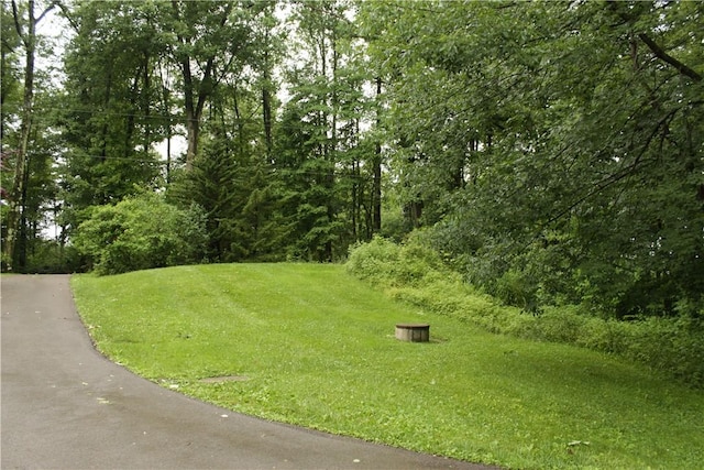 130 Hall Rd, Findley Twp, PA 16137 - view of community with a yard
