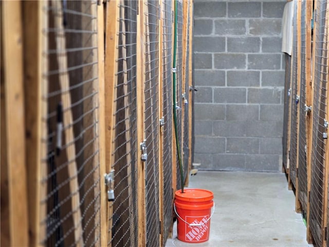 1987 Centurion Dr Unit 202, Forest Hills Boro, PA 15221 - view of storage area