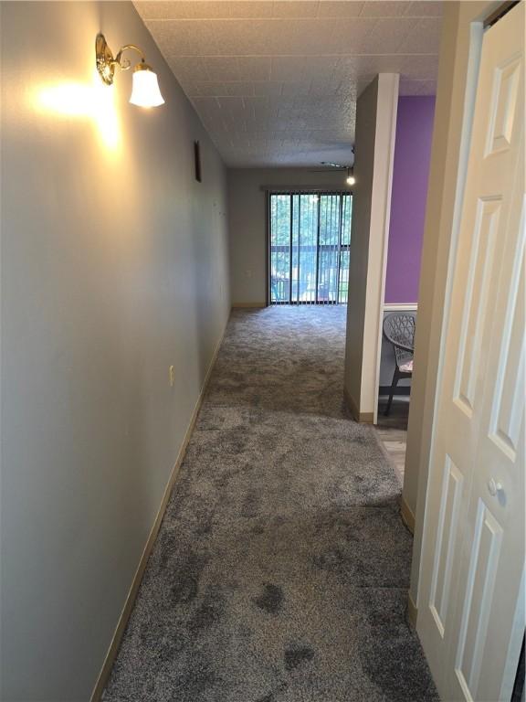 1987 Centurion Dr Unit 202, Forest Hills Boro, PA 15221 - hall with carpet floors and baseboards