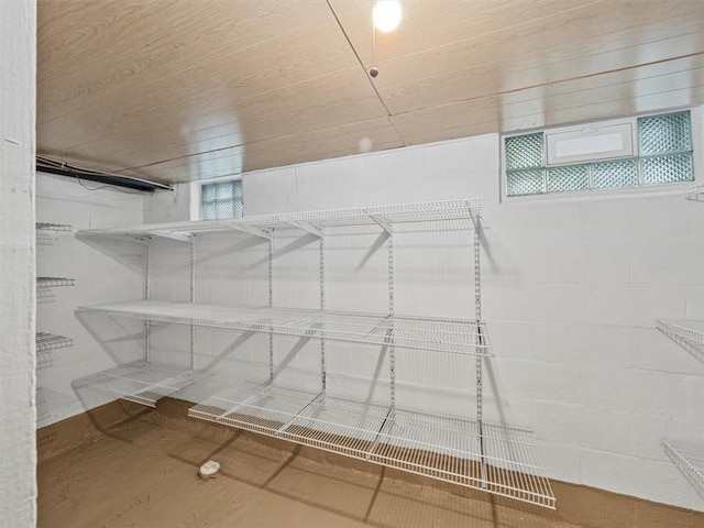 view of spacious closet