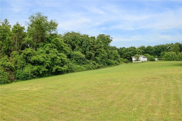 135 Preacher Rd, East Huntingdon, PA 15639 - view of grassy yard featuring a wooded view