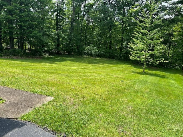 467 Blews Way, Neshannock Twp, PA 16105 - photo 4