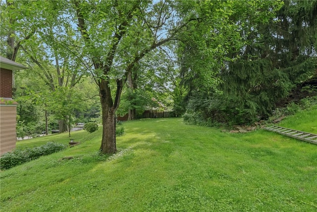 1571 Baldwick Rd, Banksville/Westwood, PA 15205 - view of grassy yard