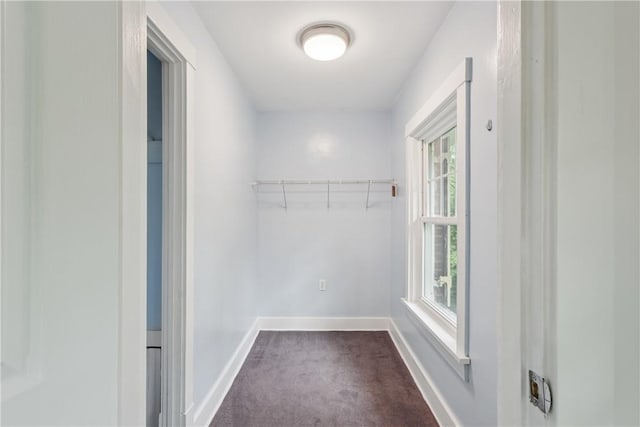 1571 Baldwick Rd, Banksville/Westwood, PA 15205 - walk in closet with dark colored carpet