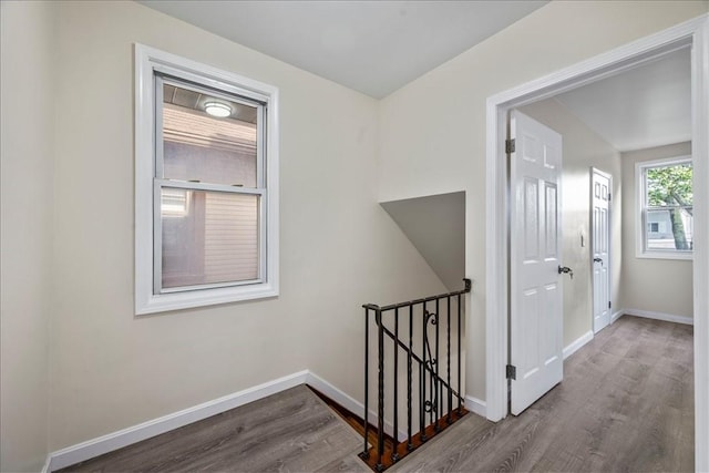 316 Washington Ave, Oakmont, PA 15139 - photo 16