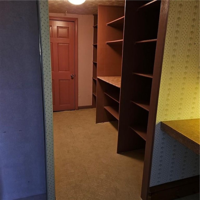 111 Laughlin St, Dawson, PA 15428 - walk in closet with light carpet