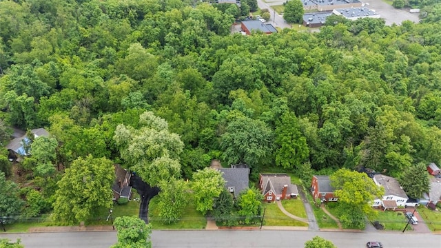 36 Warriors Rd, Green Tree, PA 15205 - aerial view of residential area featuring a forest