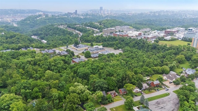 36 Warriors Rd, Green Tree, PA 15205 - aerial view of a heavily wooded area