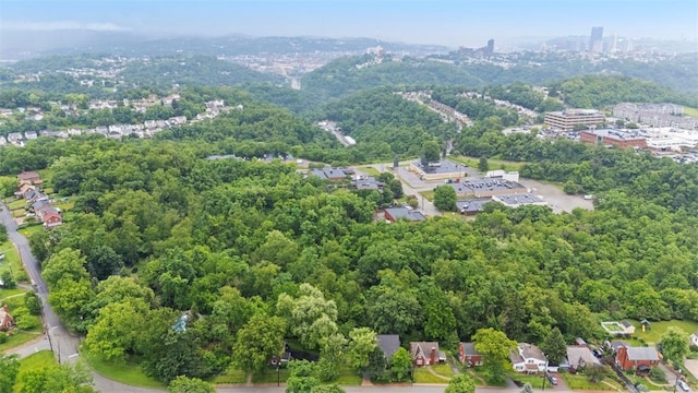 36 Warriors Rd, Green Tree, PA 15205 - drone / aerial view