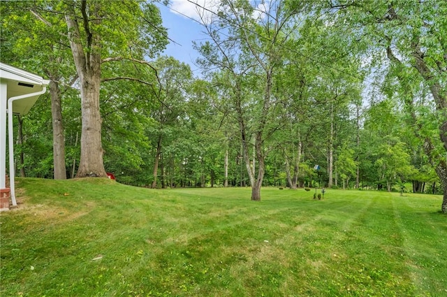 100 Laurel Hill Dr, Pine Twp Nal, PA 15090 - view of green lawn