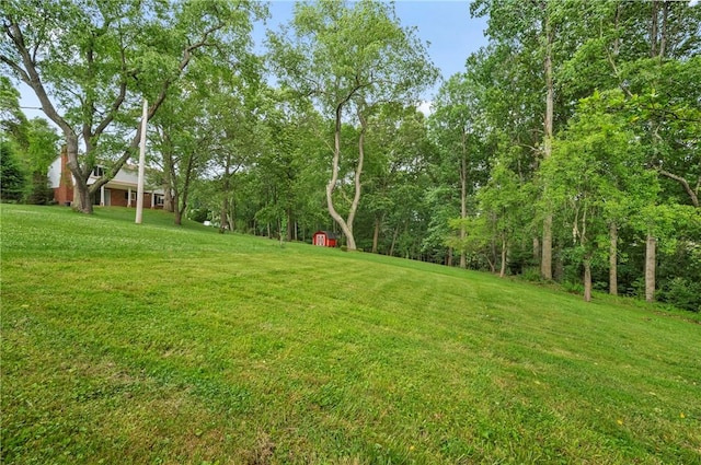100 Laurel Hill Dr, Pine Twp Nal, PA 15090 - view of grassy yard with a storage unit